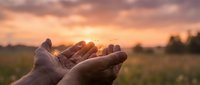 Cupped hands reaching toward golden sunset light in peaceful field landscape symbolizing hope, spirituality, prayer, gratitude and connection with nature.