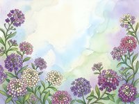 Watercolor floral border with purple and white flowers on pastel background for spring greeting cards and wedding invitations.