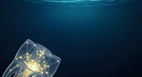 Glowing light bulb submerged underwater with illuminated network connections, representing innovation, ideas, and digital transformation in deep blue ocean environment.