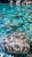 Crystal clear turquoise water surface with sunlight reflections and natural gray rock formations creating rippling patterns, perfect for nature and wellness backgrounds.
