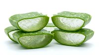 Sliced aloe vera plant halves displaying fresh gel interior, isolated on white background for skincare, cosmetics, wellness and natural beauty product design use.