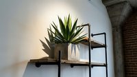 Potted succulent plant with spiky green leaves displayed on industrial metal wall shelf with wooden shelves and brackets.