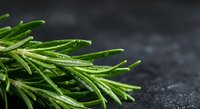 Fresh rosemary herbs with water droplets on dark stone surface for culinary cooking and natural seasoning in kitchen recipes.