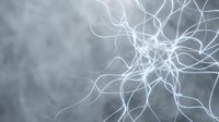Glowing white neural network lines branching across soft gray background, representing connectivity, artificial intelligence, data flow, and digital communication technology.