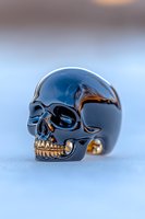 Glossy black skull with golden teeth on blue background, dramatic side view showing reflective surface and intricate anatomical details. For gothic design projects.