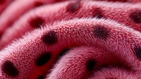 Pink plush fabric with black polka dots in extreme macro photography showing detailed textile fibers and soft furry texture in vibrant colors.
