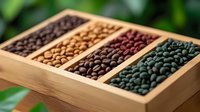 Variety of colorful dried beans and legumes in wooden compartment box, including black, pinto, kidney and green beans against blurred natural background.