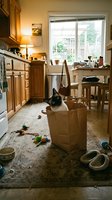 Playful black and white cat sitting in brown paper bag surrounded by toys in warm, sunlit kitchen with wooden cabinets and large windows. Pet playtime.