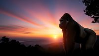 Majestic gorilla silhouette against vibrant sunset sky with orange and purple clouds over mountain landscape creating dramatic wildlife scene.