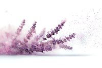 Purple lavender flowers dissolving into particles on white background, artistic floral composition with soft focus and dreamy atmosphere.