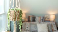 Hanging succulent plant in macrame holder by window with natural light, home decor and indoor gardening.
