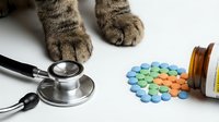 Cat paws with stethoscope and colorful pills scattered from medicine bottle on white background for veterinary healthcare concepts.