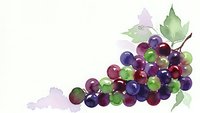 Watercolor grapes cluster with green leaves in purple and burgundy tones on white background for wine labels and culinary designs.