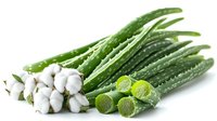 Fresh raw aloe vera leaves with cotton flowers on white background, natural organic skincare ingredients for cosmetic and medicinal use.