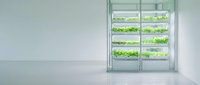 Modern vertical farming system with multiple shelves of fresh green leafy vegetables and herbs growing under LED lights in a controlled indoor agricultural environment.