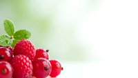 Fresh red raspberries with green mint leaves on soft blurred background for healthy eating and summer dessert concepts.