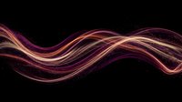 Abstract flowing light waves in purple pink and gold colors creating dynamic energy motion on black background for modern digital design projects.
