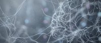 Abstract neural network connections with glowing nodes and synaptic pathways on soft gray background for medical research and neuroscience presentations.