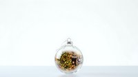 Transparent glass ornament filled with gold glitter and confetti, isolated on white background, ready for holiday design projects, greeting cards, and festive decorations.