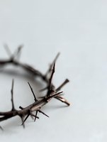 Crown of thorns macro photography on light background with selective focus and copy space, symbolizing sacrifice and spiritual concepts.