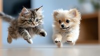 Playful kitten and Pomeranian puppy jumping together in synchronized motion against blurred home interior background, capturing joyful pet friendship moment.