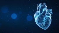Digital wireframe human heart anatomy on dark blue background with glowing particles. Medical technology concept for healthcare presentations and cardiology studies.