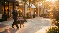 Young Caucasian man walking German Shepherd dog on leash through upscale shopping district at golden hour with warm sunlight and bokeh lights.