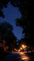 Starry night sky visible through tree canopy over quiet suburban street illuminated by warm street lamps, creating reflections on wet asphalt after rain.