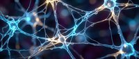 Glowing neural network with interconnected neurons transmitting signals, blue light effects on dark background, neuroscience and brain activity concept.