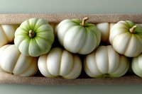 White and pale green mini pumpkins arranged in rustic wooden box, showing natural texture and autumn harvest colors. Fresh seasonal gourds for fall decoration.