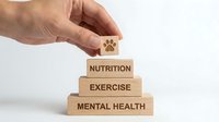 Hand placing wooden block with paw print on pyramid of health blocks showing nutrition, exercise, mental health for pet wellness and care.