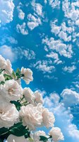 White roses in full bloom against a bright blue sky with fluffy white clouds, shot from below. Perfect for spring, wedding, nature, and garden-themed designs.