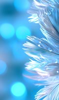 Delicate white feather with water drops on blue bokeh background, macro photography showing intricate details and soft texture. Dreamy atmosphere for wellness designs.