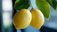 Fresh yellow lemons hanging on branch with green leaves against blurred background, showcasing vibrant citrus fruit for food and beverage concepts.