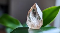 Clear quartz crystal point with natural inclusions resting on green leaves, displaying raw geometric mineral formation in soft natural lighting.