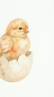 Adorable watercolor baby chick hatching from eggshell on white background, isolated for Easter greeting cards and spring designs.