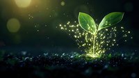 Young green sprout growing from soil with magical glowing sparkles and light effects against dark background, symbolizing growth, hope and new beginnings.