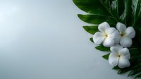 White plumeria flowers and tropical green palm leaves arranged in corner composition against soft blue background, creating elegant spa and wellness atmosphere.