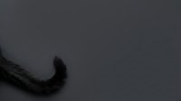Isolated black feather on neutral gray background, suitable for design projects, web graphics, and creative compositions.