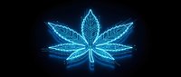 Glowing blue neon cannabis leaf with electric circuit patterns on black background for digital art, technology concepts, and modern design projects.