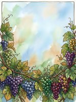 Watercolor grapevines with clusters of purple, green, and red grapes frame a soft, cloudy sky background. Isolated design element suitable for wine labels, kitchen decor, and culinary projects.