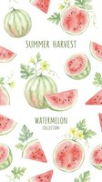 Watercolor watermelon pattern with slices and leaves on white background. Summer harvest fruit collection for seasonal designs and packaging.