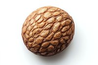 Single brown nutmeg spice with distinctive textured surface pattern isolated on white background, macro food photography for culinary and cooking concepts.