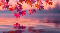 Autumn maple leaves hanging over calm water with pink sunset sky reflection creating peaceful fall nature scene for seasonal designs.