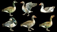 Waterfowl collection featuring six isolated geese in various poses and angles on transparent background. Ready for clipart, t-shirt design, print-on-demand products, stickers, and sublimation projects.