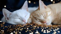 Two adorable cats sleeping peacefully together on sparkling golden sequined fabric with warm bokeh lights creating cozy atmosphere for pet care content.