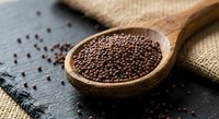 Coriander seeds in wooden spoon on dark slate surface with burlap sack. Organic whole spice for cooking, seasoning and culinary preparations.