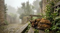 Stray tabby cat sleeping peacefully on wooden bench in misty cobblestone alley surrounded by ivy-covered stone walls and lush greenery on foggy morning.