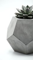 Succulent plant in geometric concrete pot isolated on white background, suitable for home decor, interior design, and botanical styling projects.
