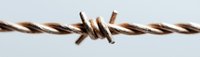 Rustic twisted barbed wire macro shot on white background, showing detail of sharp metal barbs. Isolated design element for security and boundary concepts.